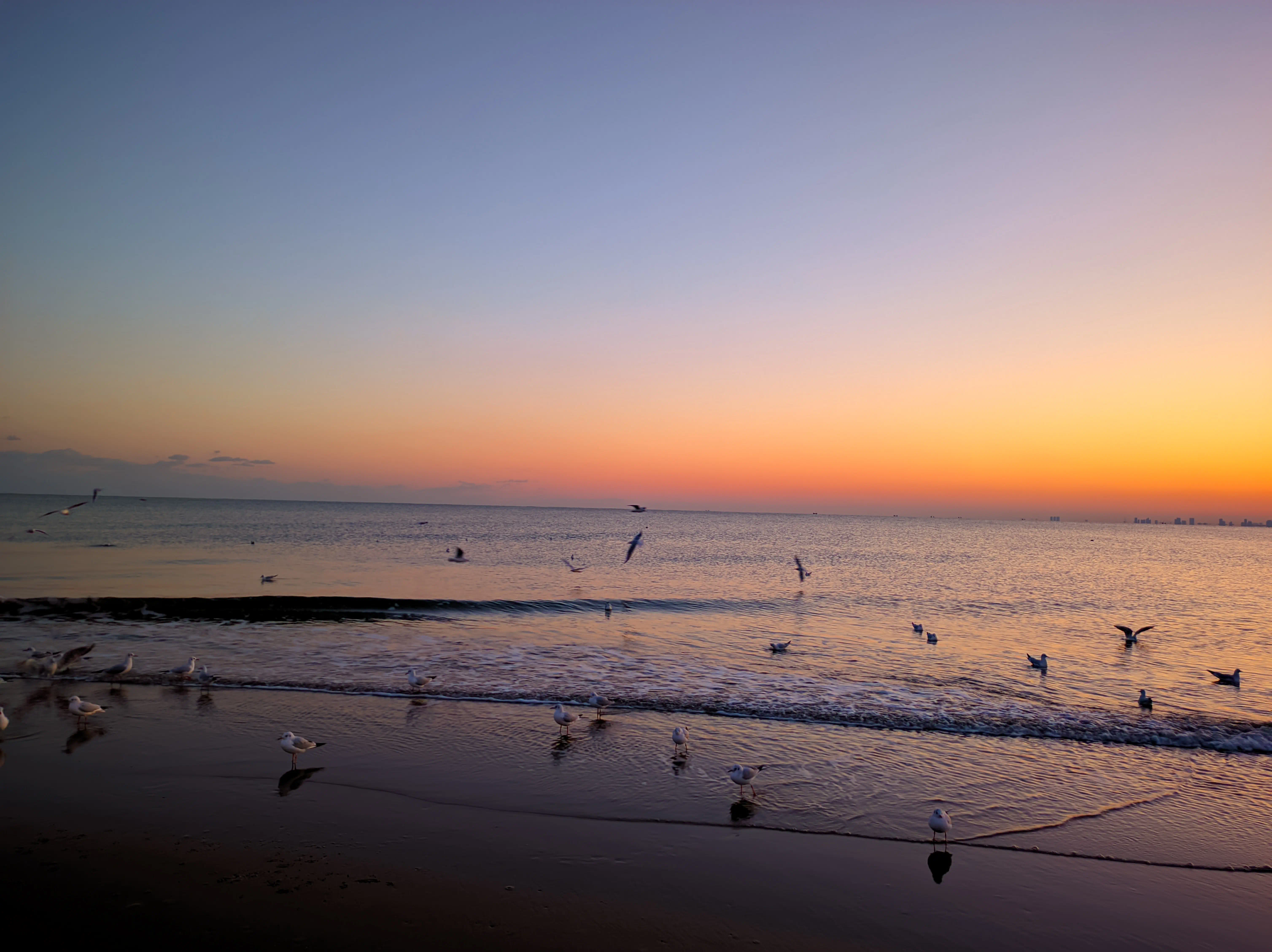 十一月, 海上日落, 于北戴河老虎石公园
