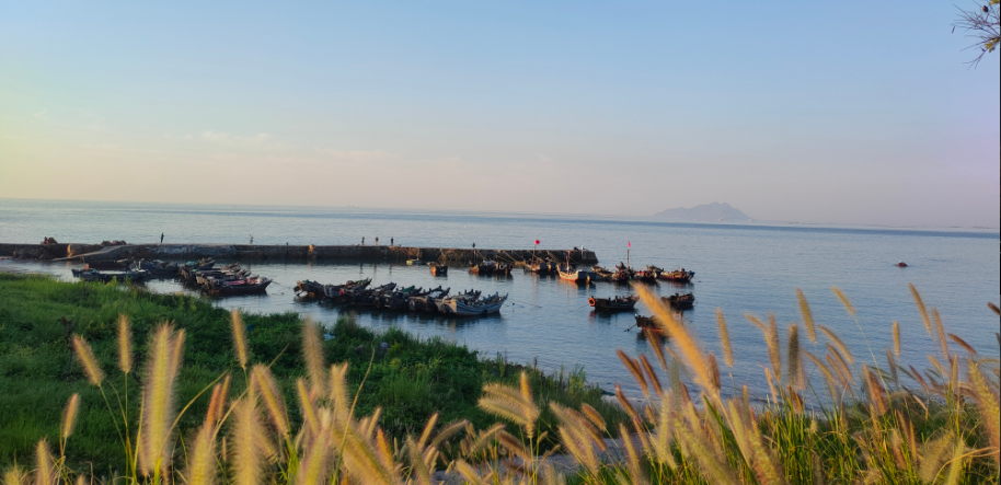 在青岛