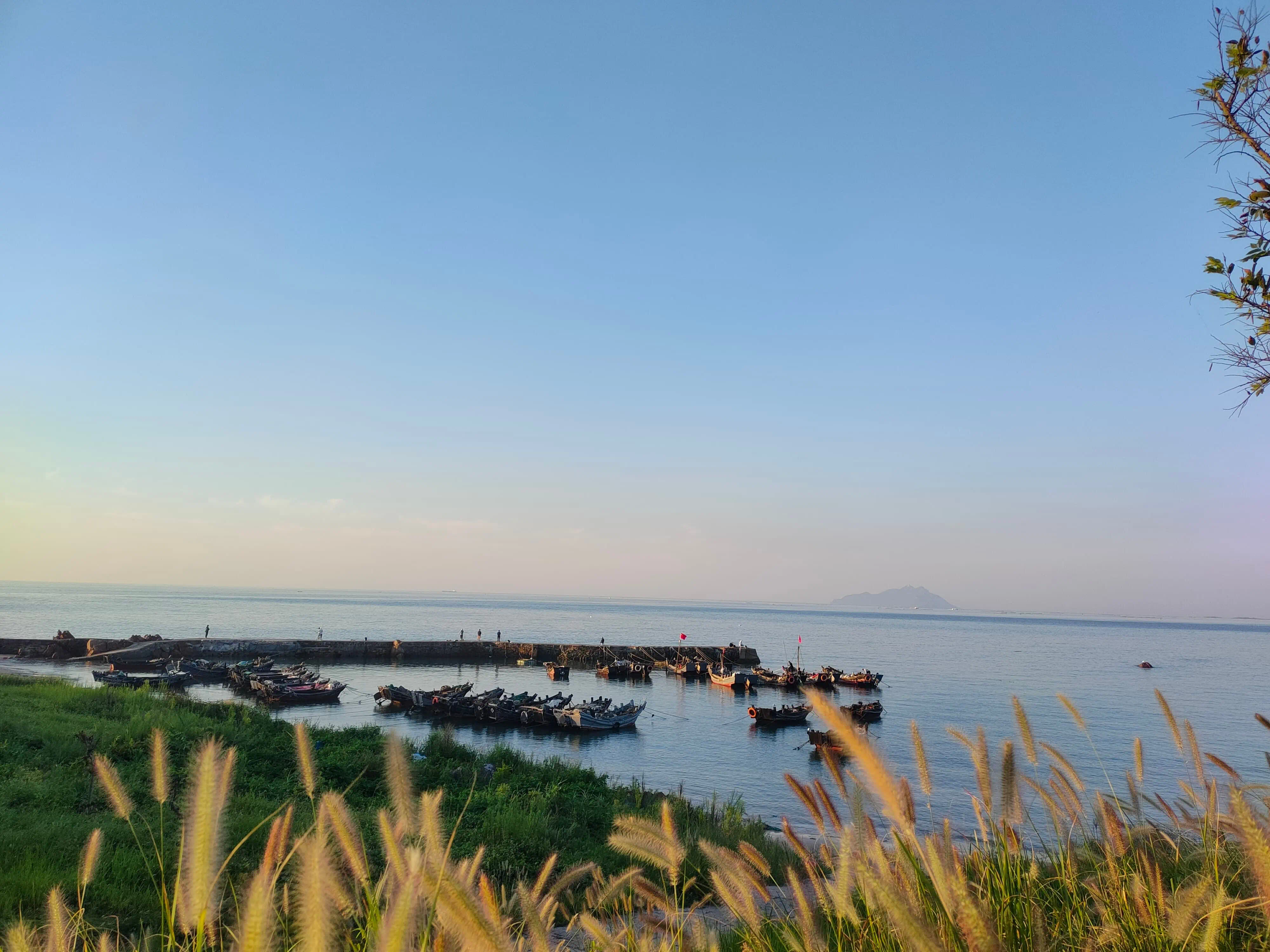 八月底, 青岛西海岸的清晨