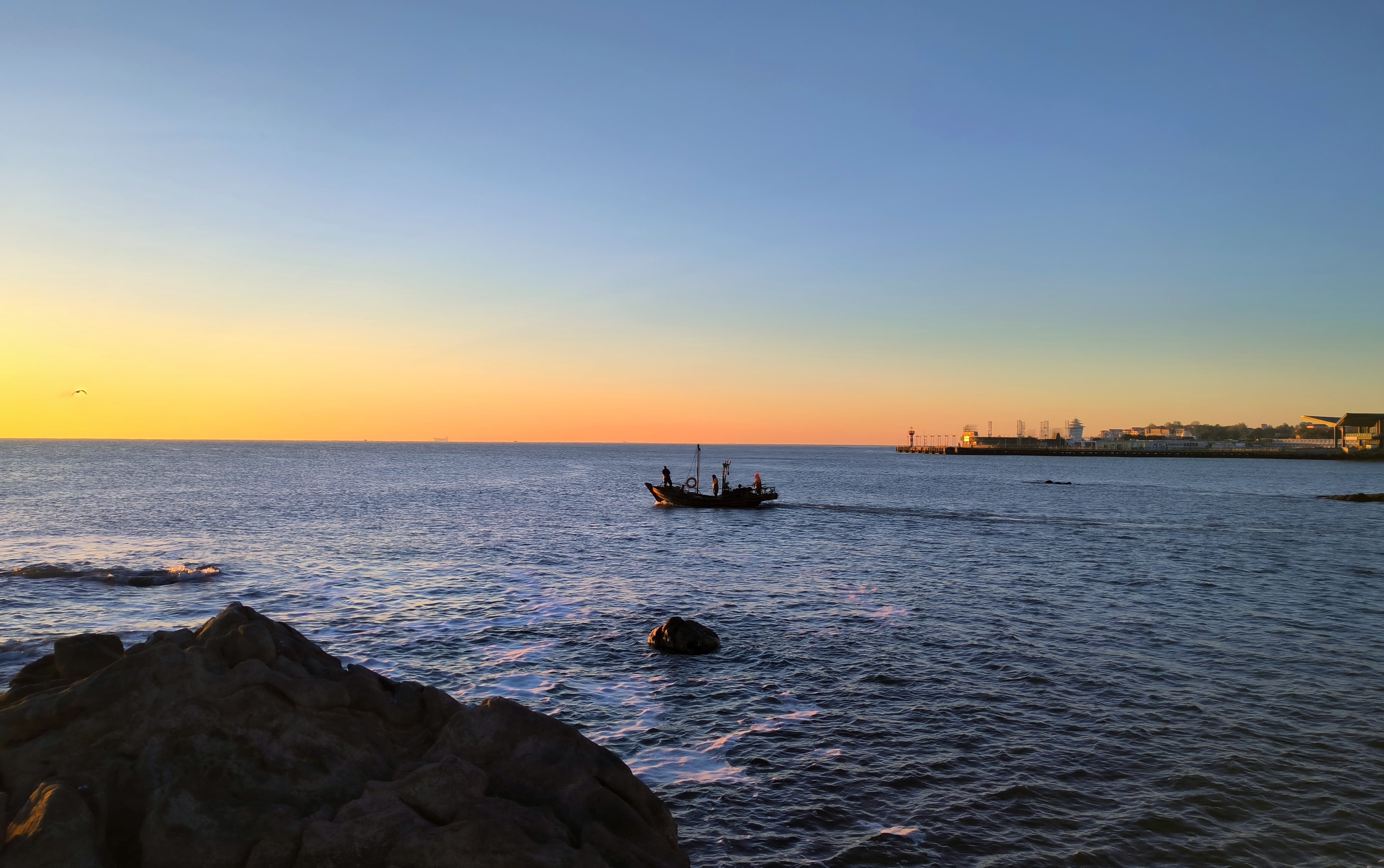 海鸥来时