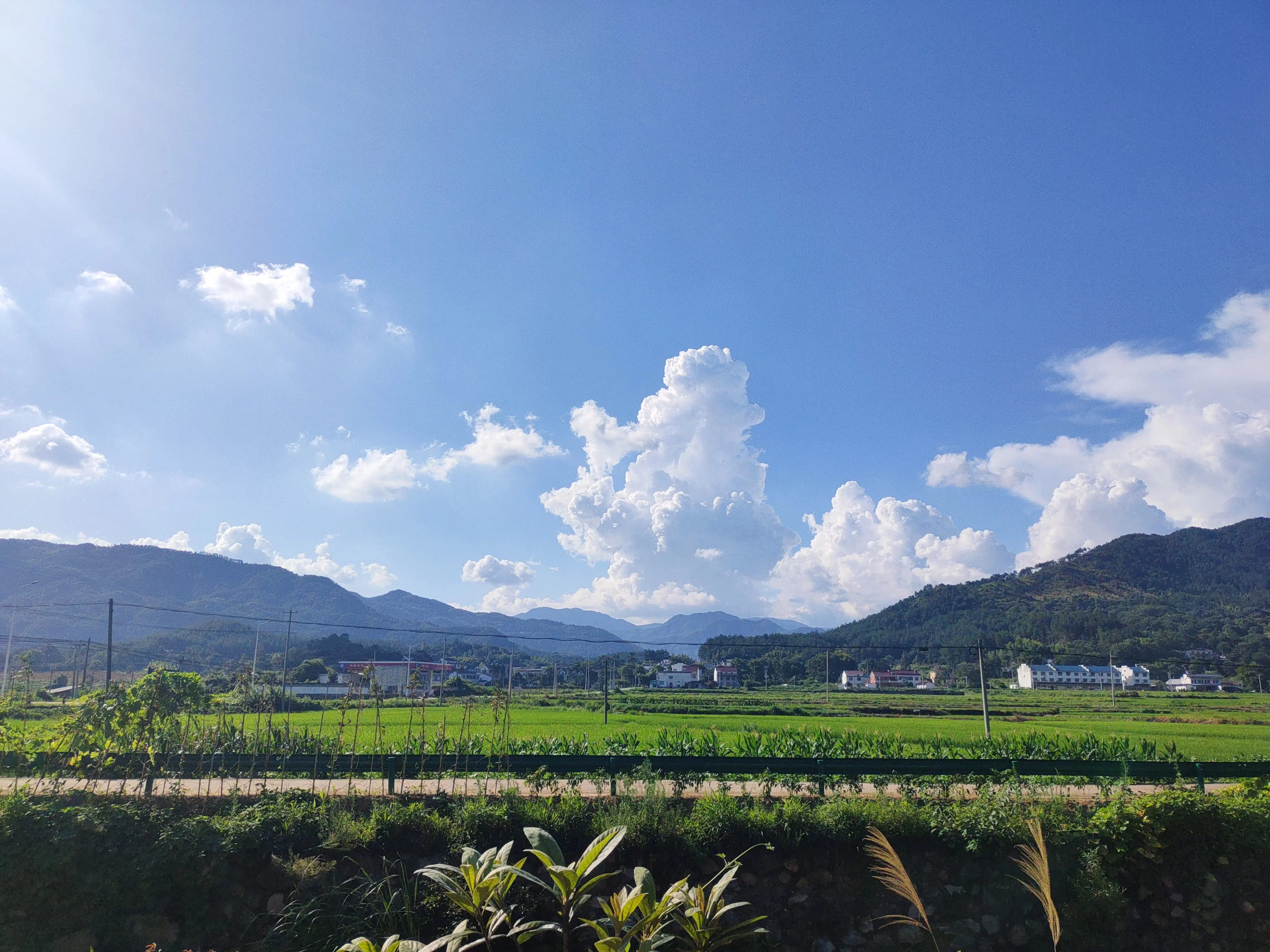 七月底, 我回到家, 远处的云朵像一座喷火的恐龙